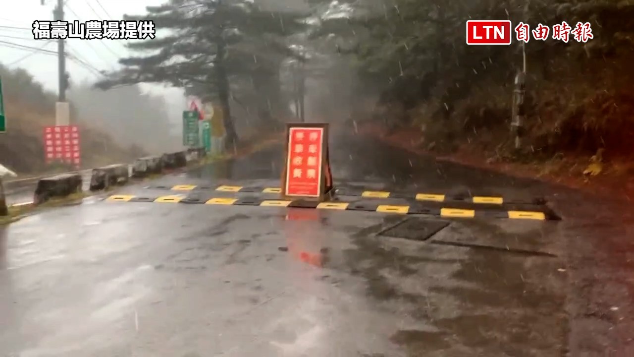 台中福壽山農場天池今晨降雪 小編魔咒再現（福壽山農場提供）