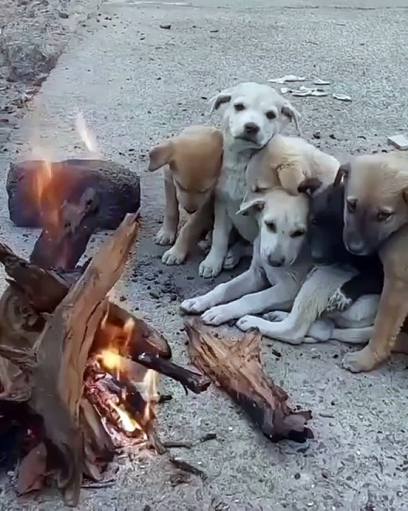 Weather is getting cold