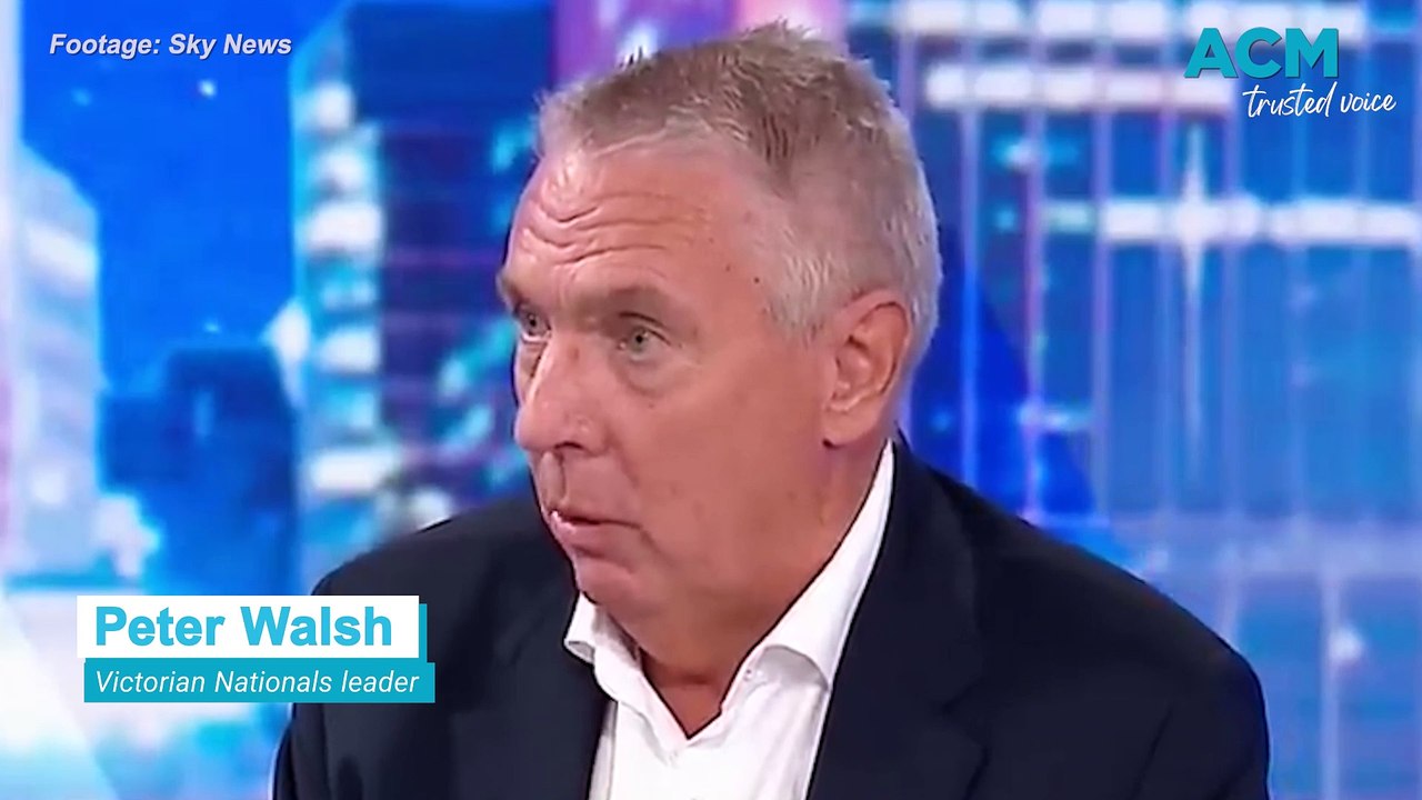 Victorian opposition withdraws support for state-based treaty