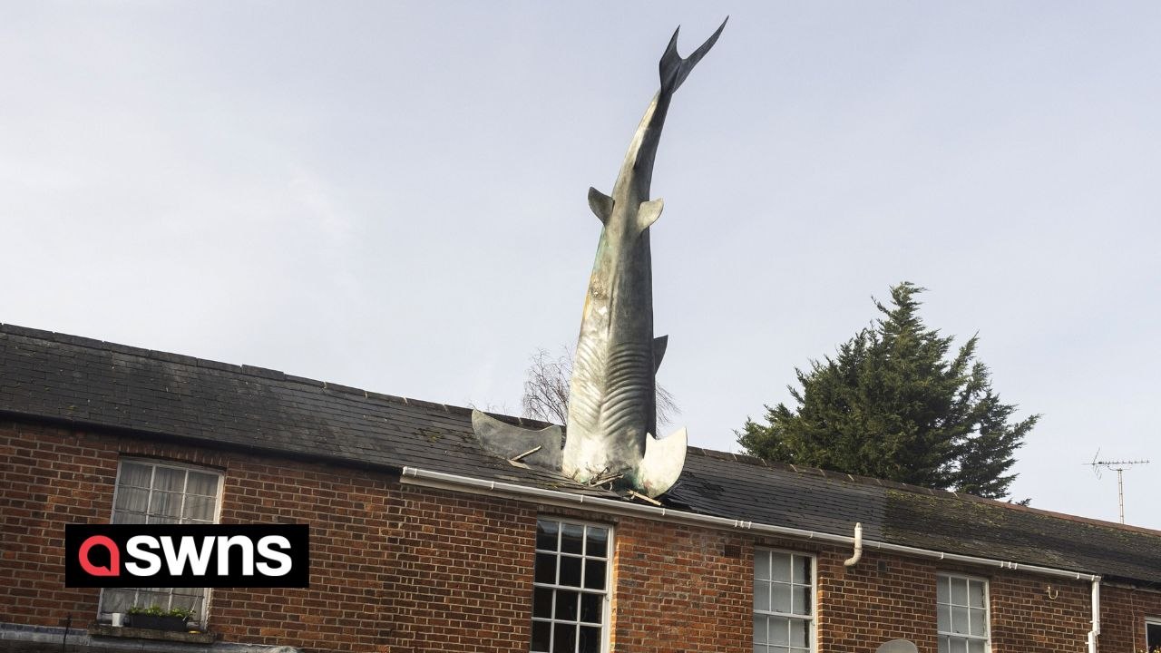 Owner of famous house with 25ft shark sticking out of the roof booted off Airbnb