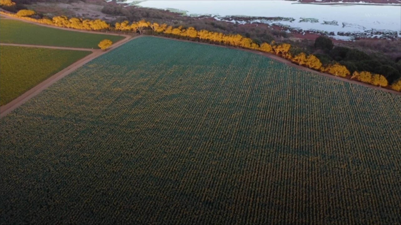 New Study Highlights Global Acceleration of Groundwater Depletion