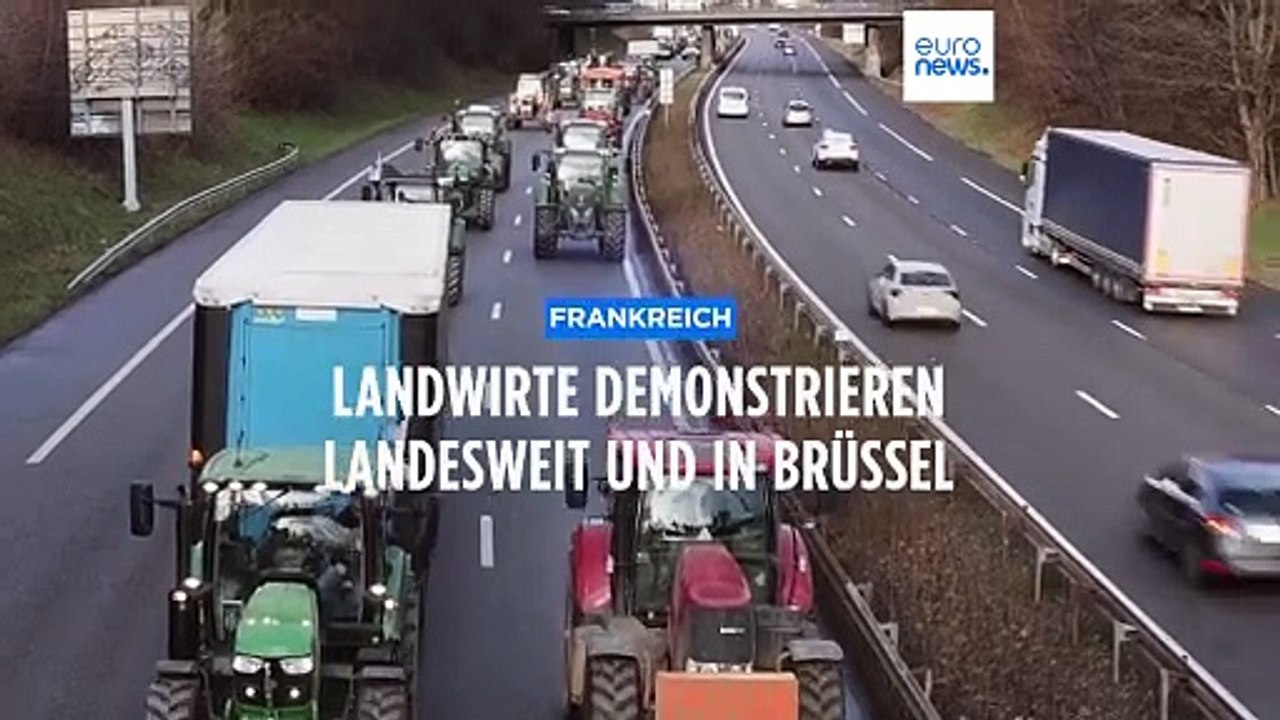Wenn der Landwirt wütend wird: Die Proteste der Bauern nehmen in ganz Europa zu
