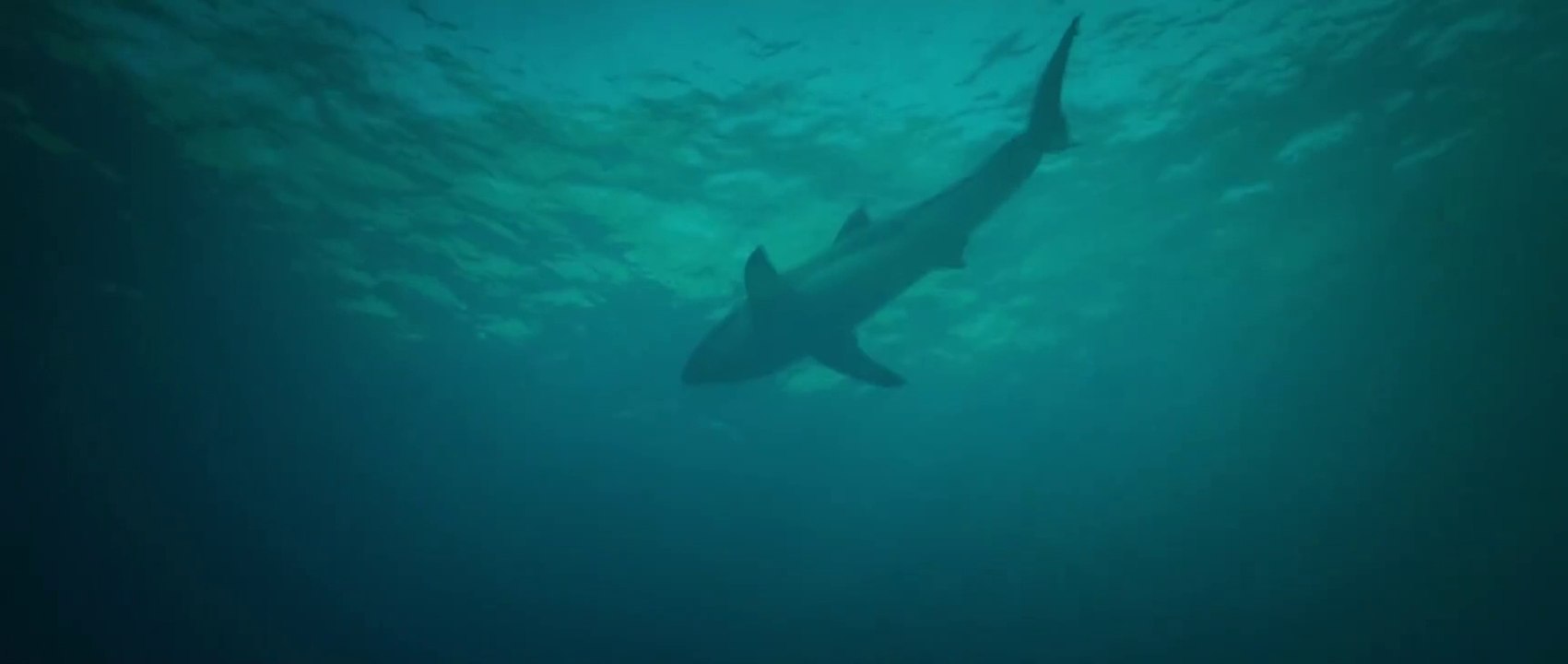 Deep Fear (2023) Scary Adult Thriller Full Movie