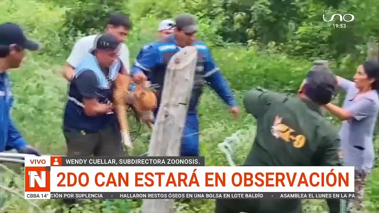 2do can estará en observación