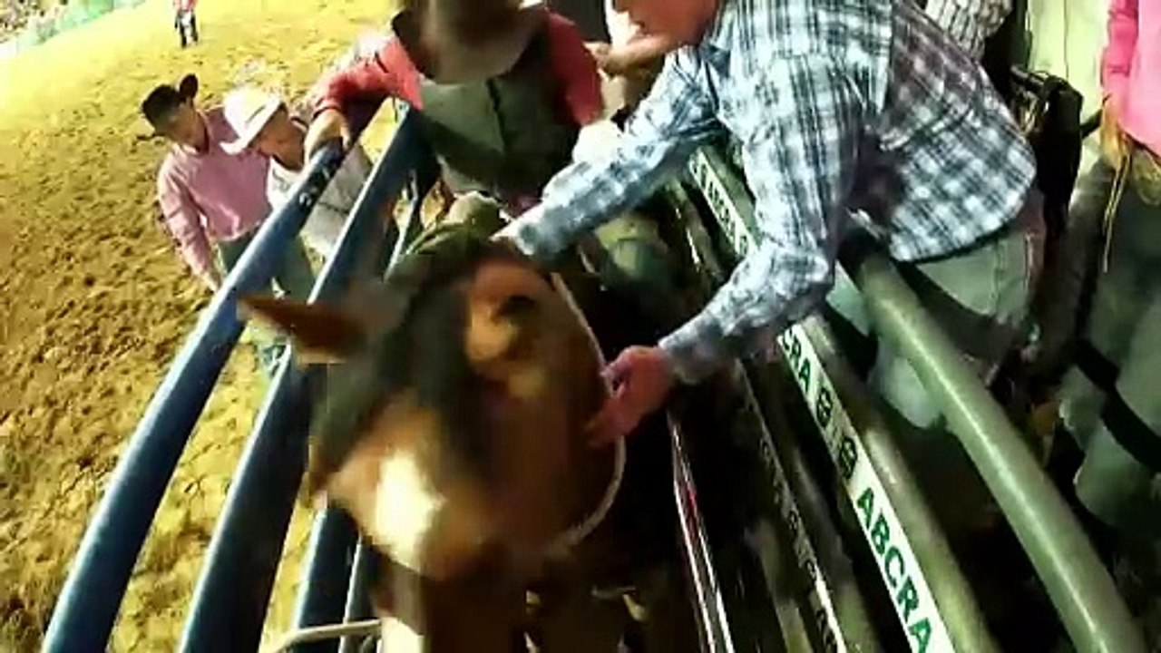ABCRA National Finals Rodeo at AELEC