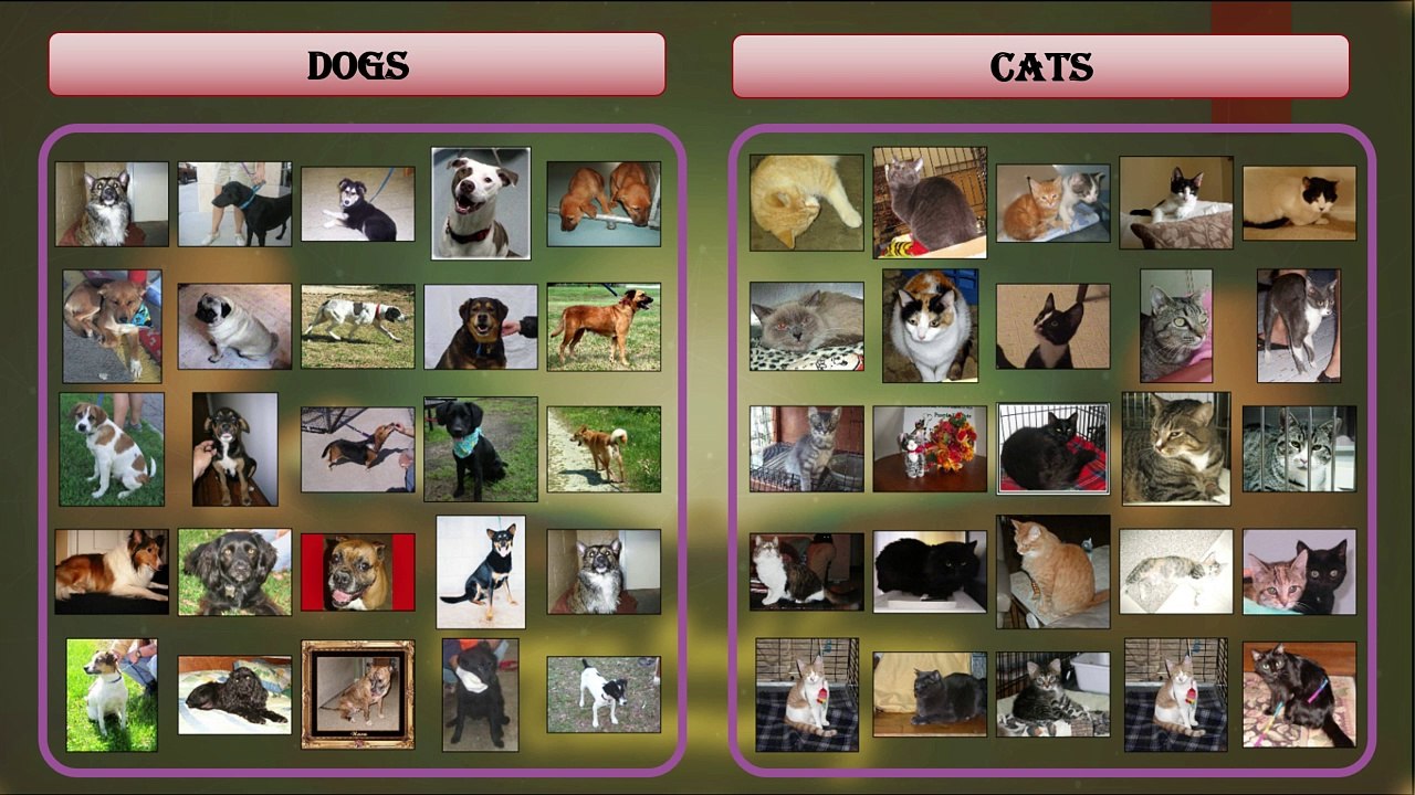 Session 8 : Concept of Machine Learning | How Machines Learn: A Simple Explanation | For Beginners