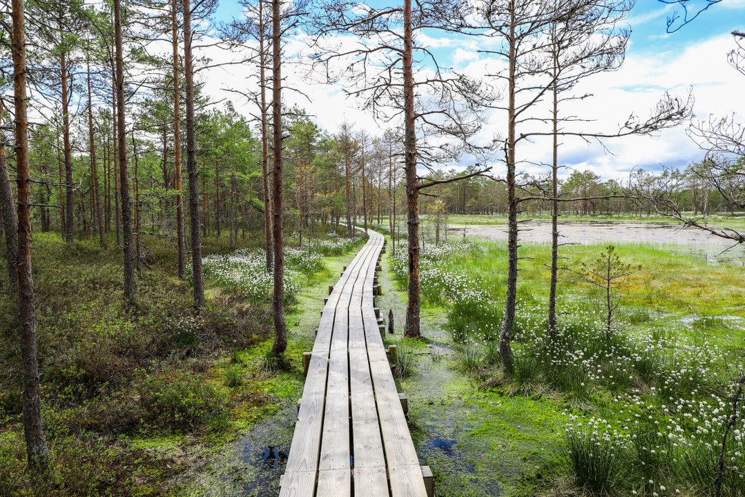 Voyage écoresponsable : 10 destinations à découvrir