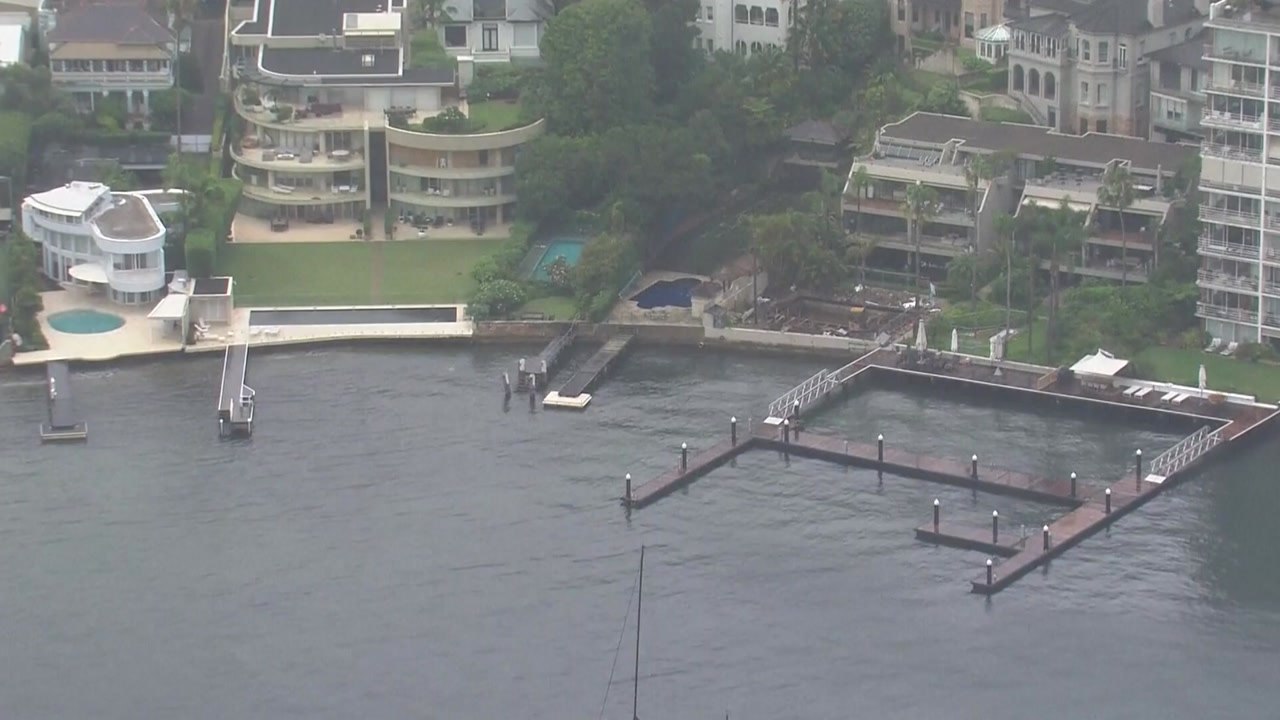 호주 여성, 시드니항서 수영하다 상어에 물려 중상 / YTN