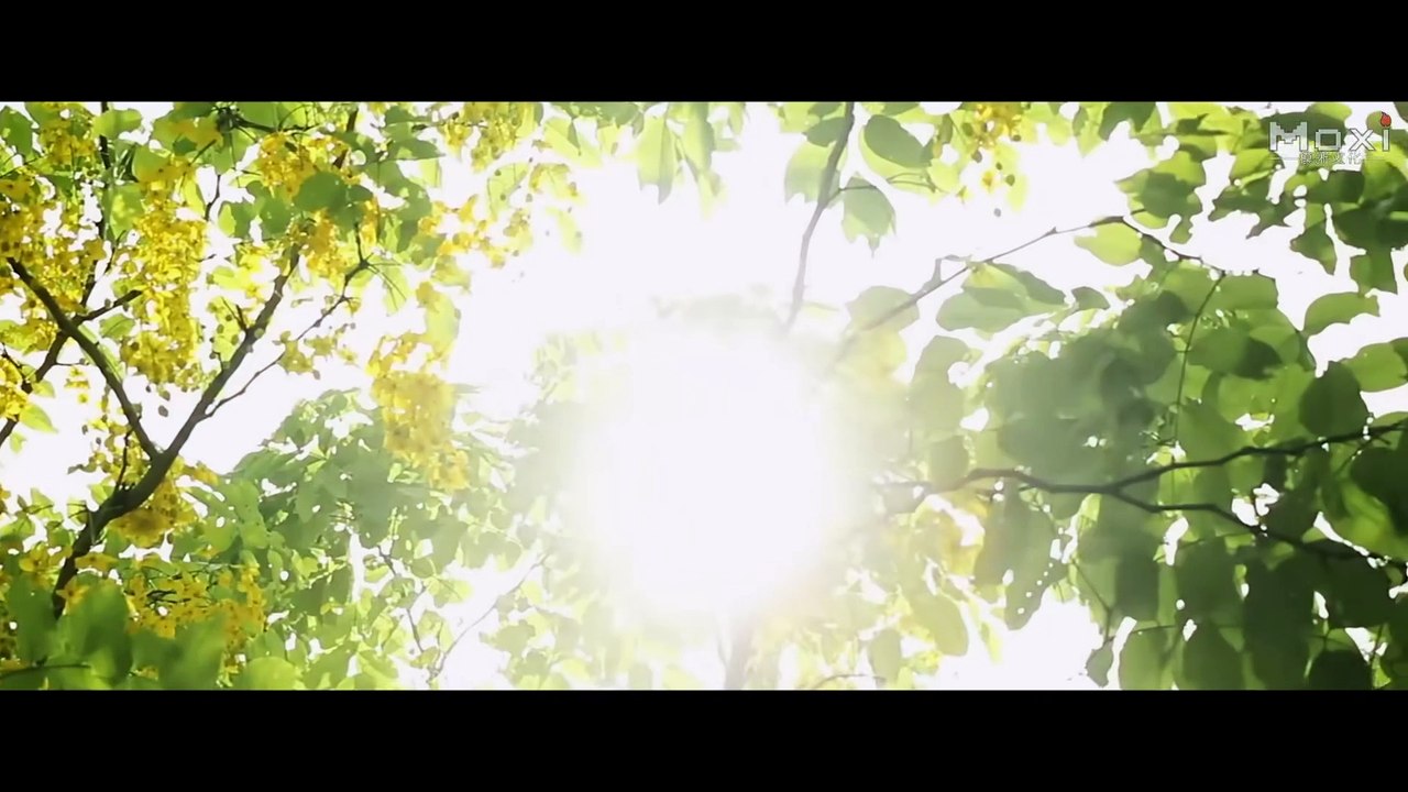 地师传人 (2023)完整版1080P