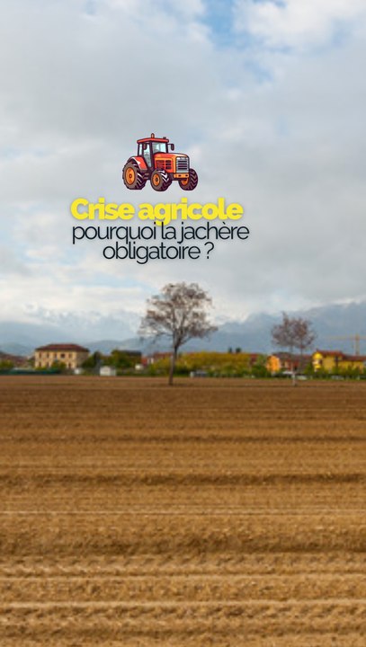 Cest quoi l’obligation de jachère, motif de la colère des agriculteurs ?