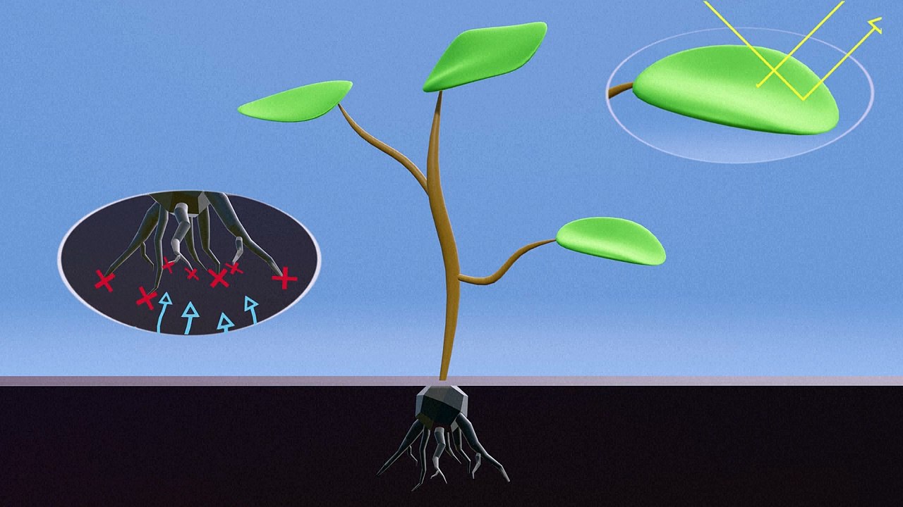 How Glyphosate Works: Insights from Recent EU Pesticide Policy Changes 🌱