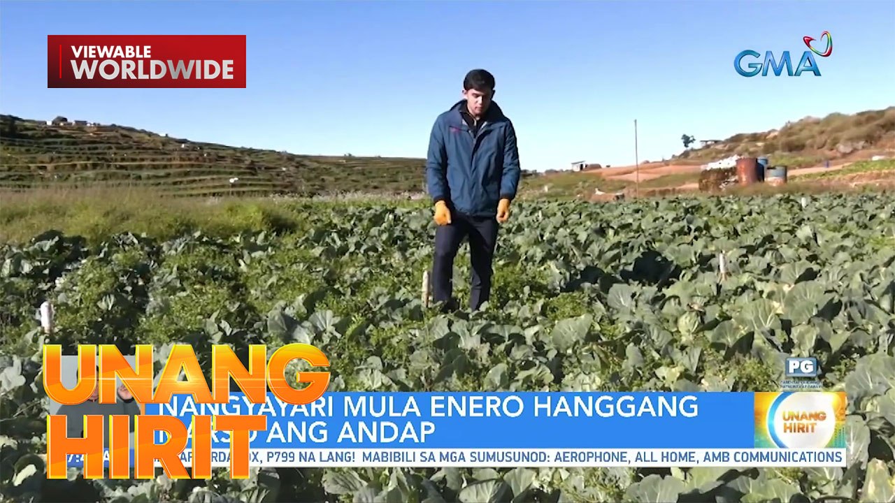 Nararanasang andap sa Antok, Bengeut, malaking perwisyo sa mga magsasaka | Unang Hirit