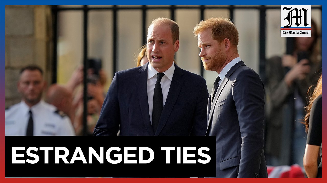 Prince Harry visits King Charles III