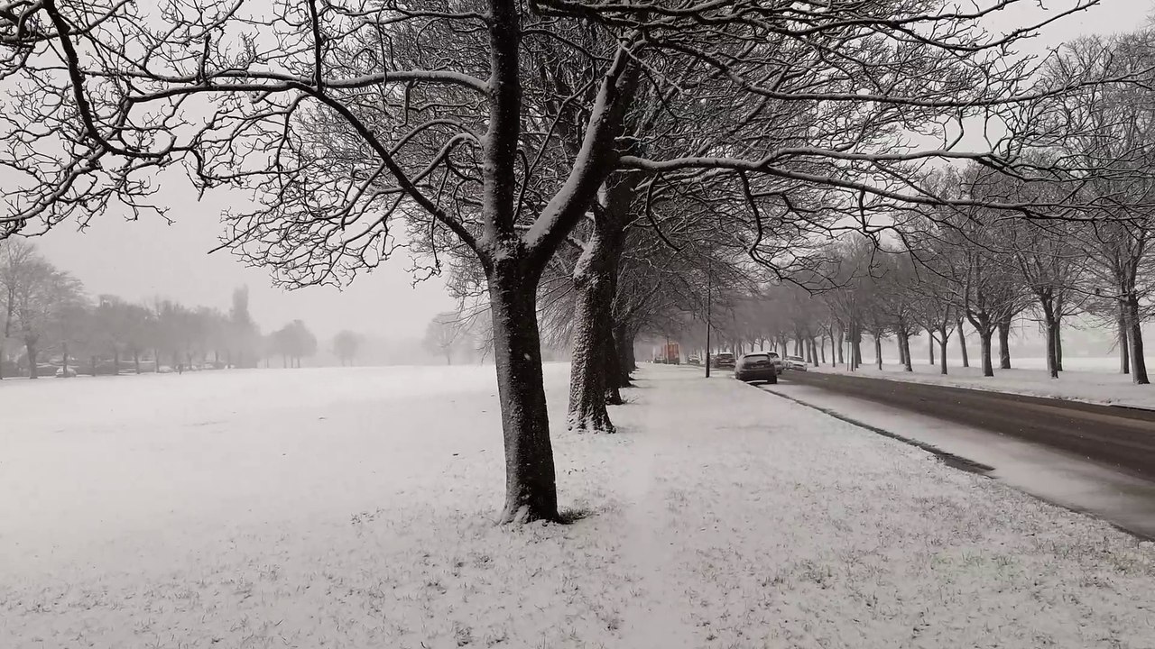 Snow in Halifax today