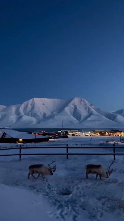 Paysages glaciaires pour l’archipel de Svalbad en Norvège