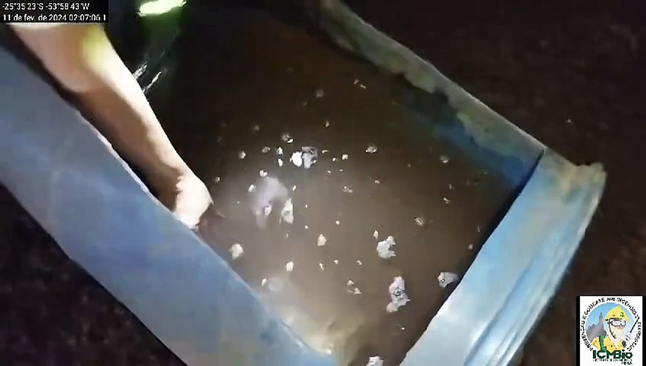 PF e ICMBio prendem pescadores em área de proteção do Parque Nacional do Iguaçu