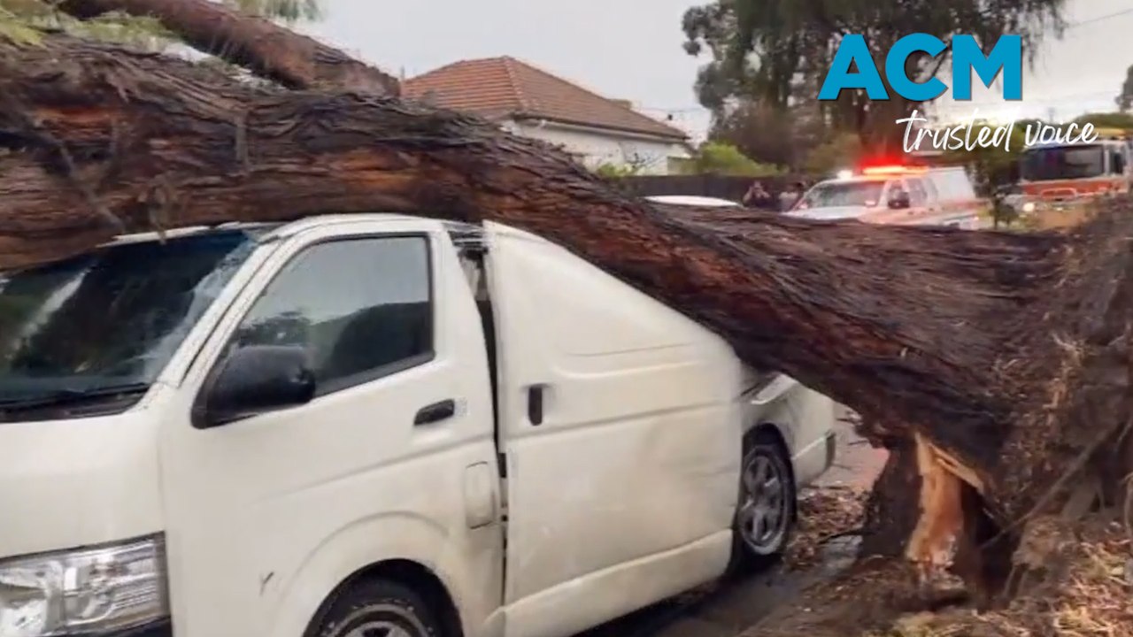 Wild weather strikes Victoria