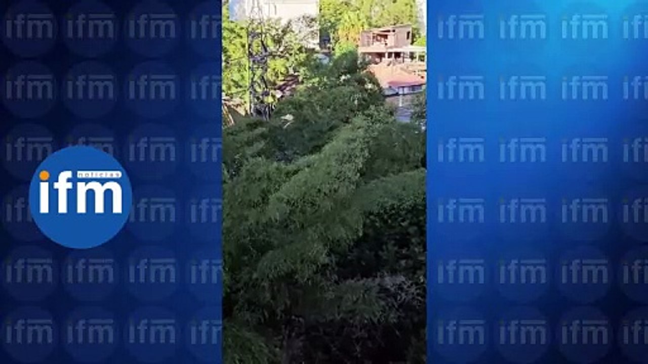 Exceso de ruido en Parque Lleras