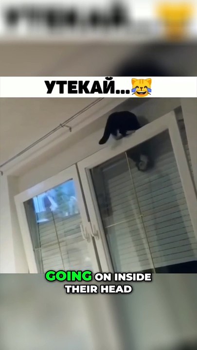 Unlocking the Secrets of the Mind 🧠: Discover What’s Inside