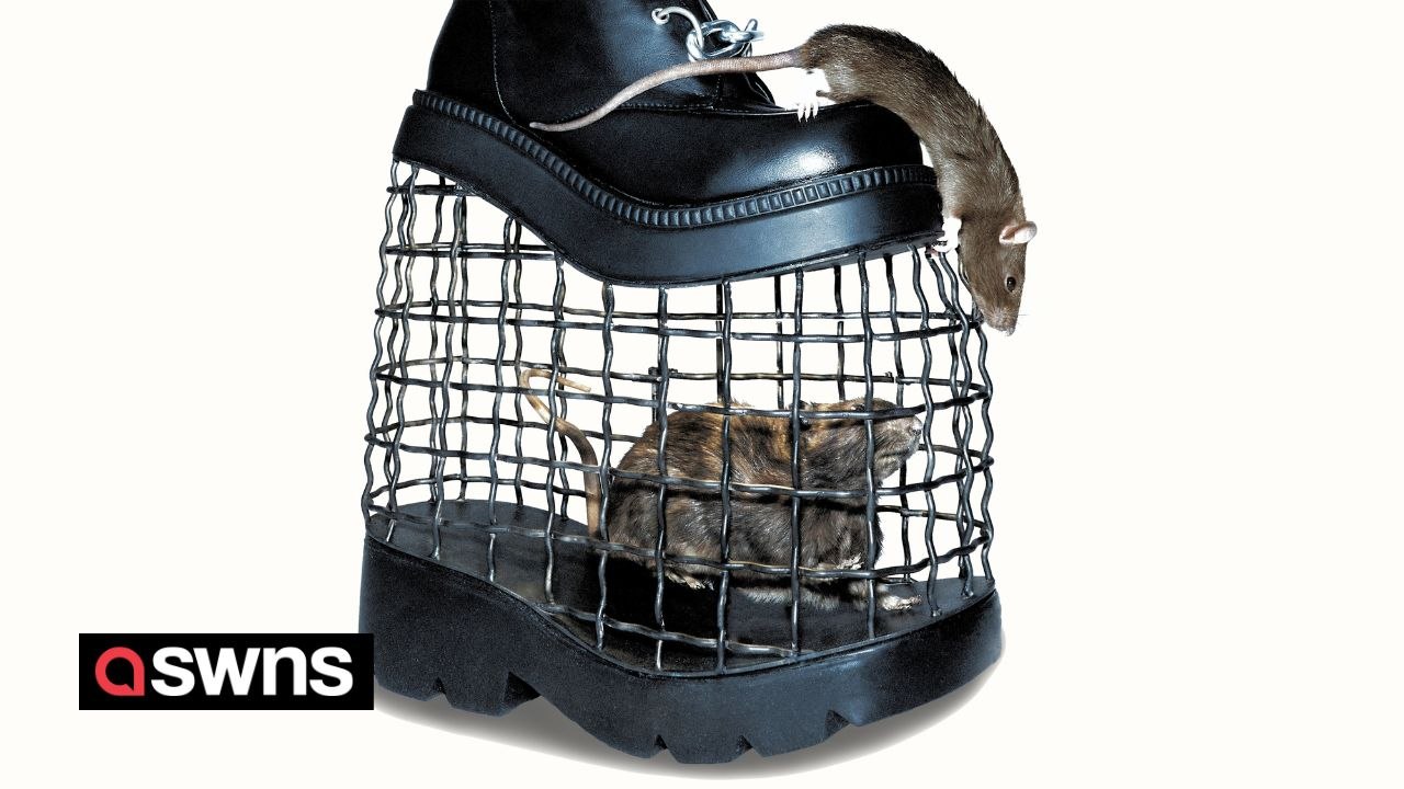 Creepy showstopper hits New York fashion week - in form of boots housing rats