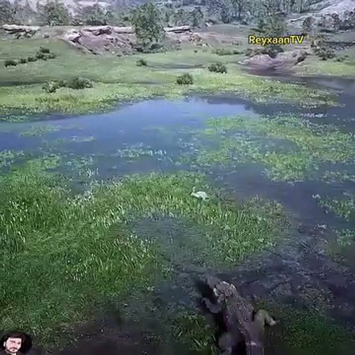 @الهروب والمقاوممةللبقاءعلى قيدالحياة