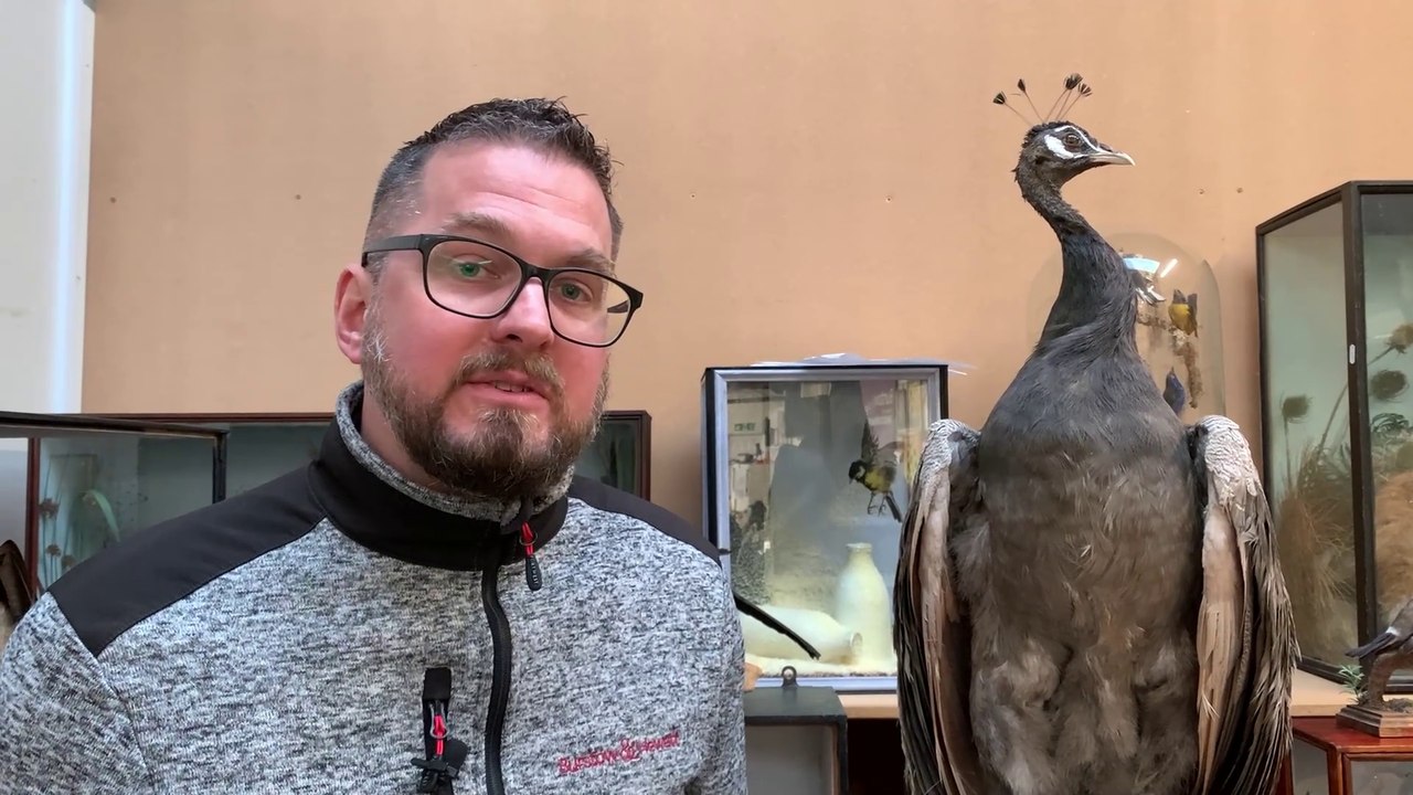 Burstow & Hewett in Battle, East Sussex, will be holding an auction on March 15 - Science, Natural History and Curiosities