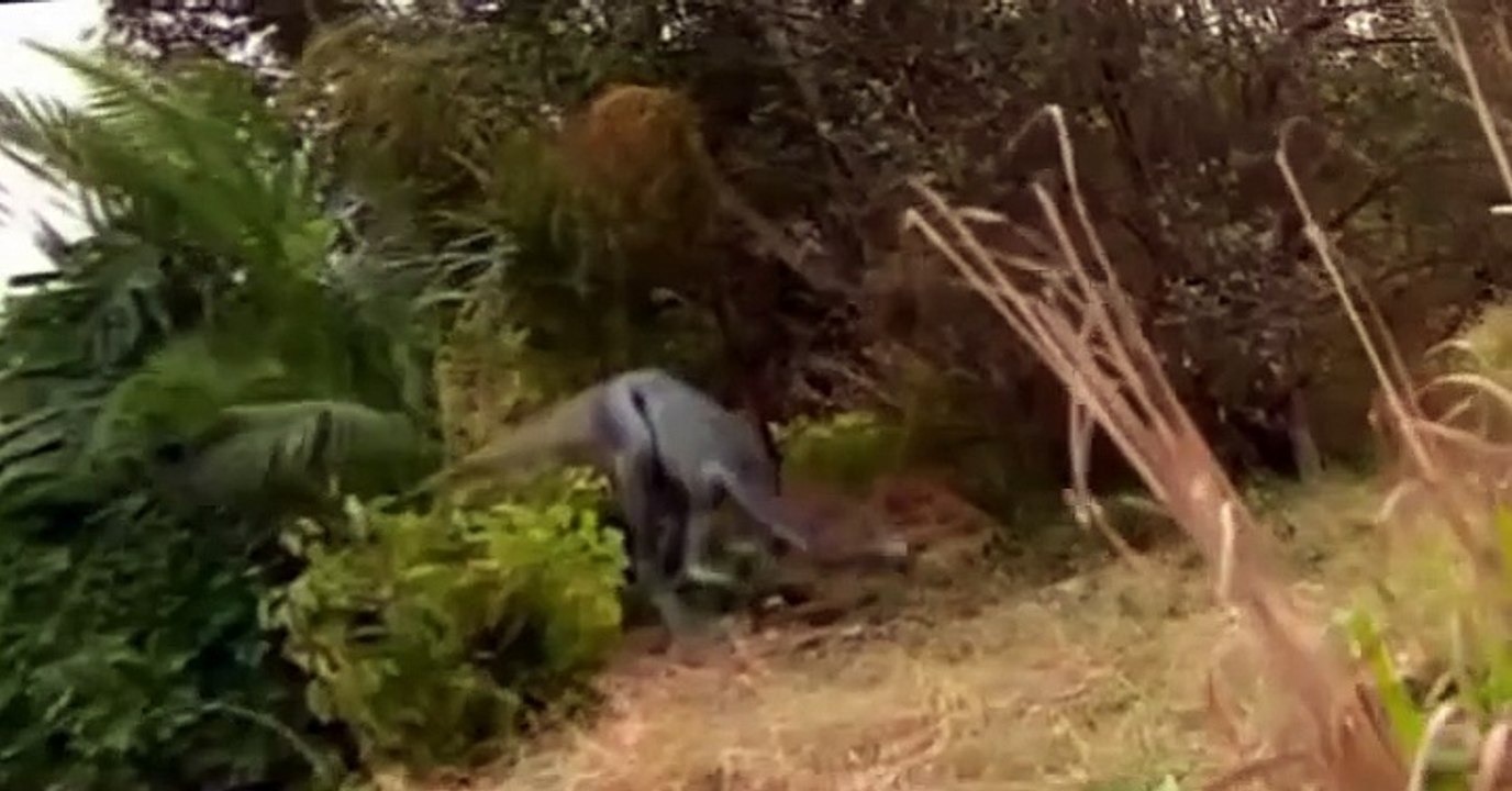 Prehistoric Park Prehistoric Park E004 Saving the Sabretooth (2)