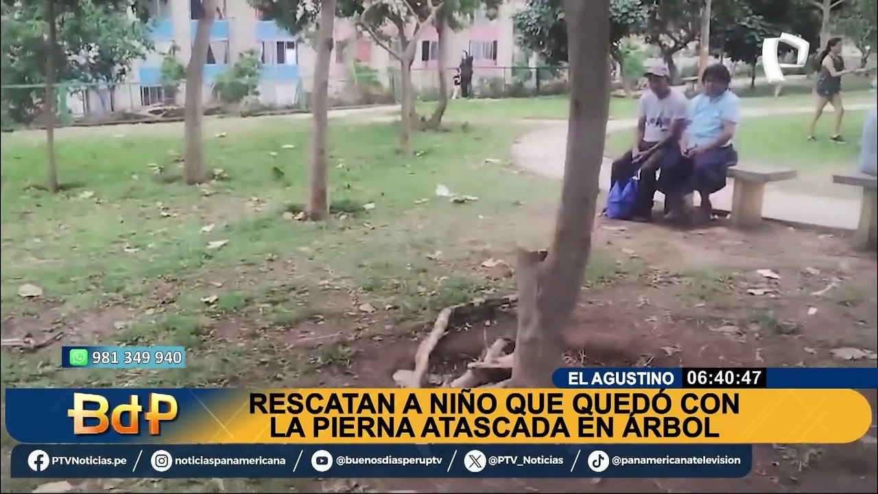 El Agustino: rescatan a niño que quedó atascado en árbol ante descuido de su padre