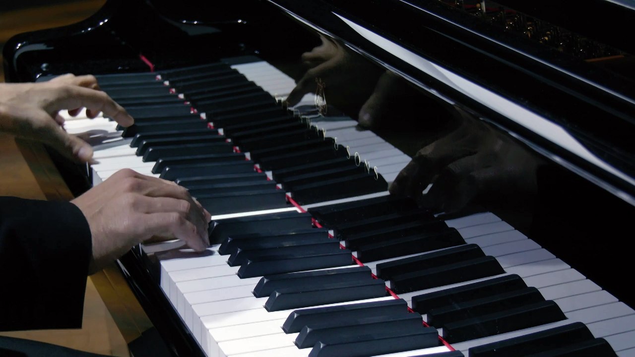 Steve Reich : Reich/Richter