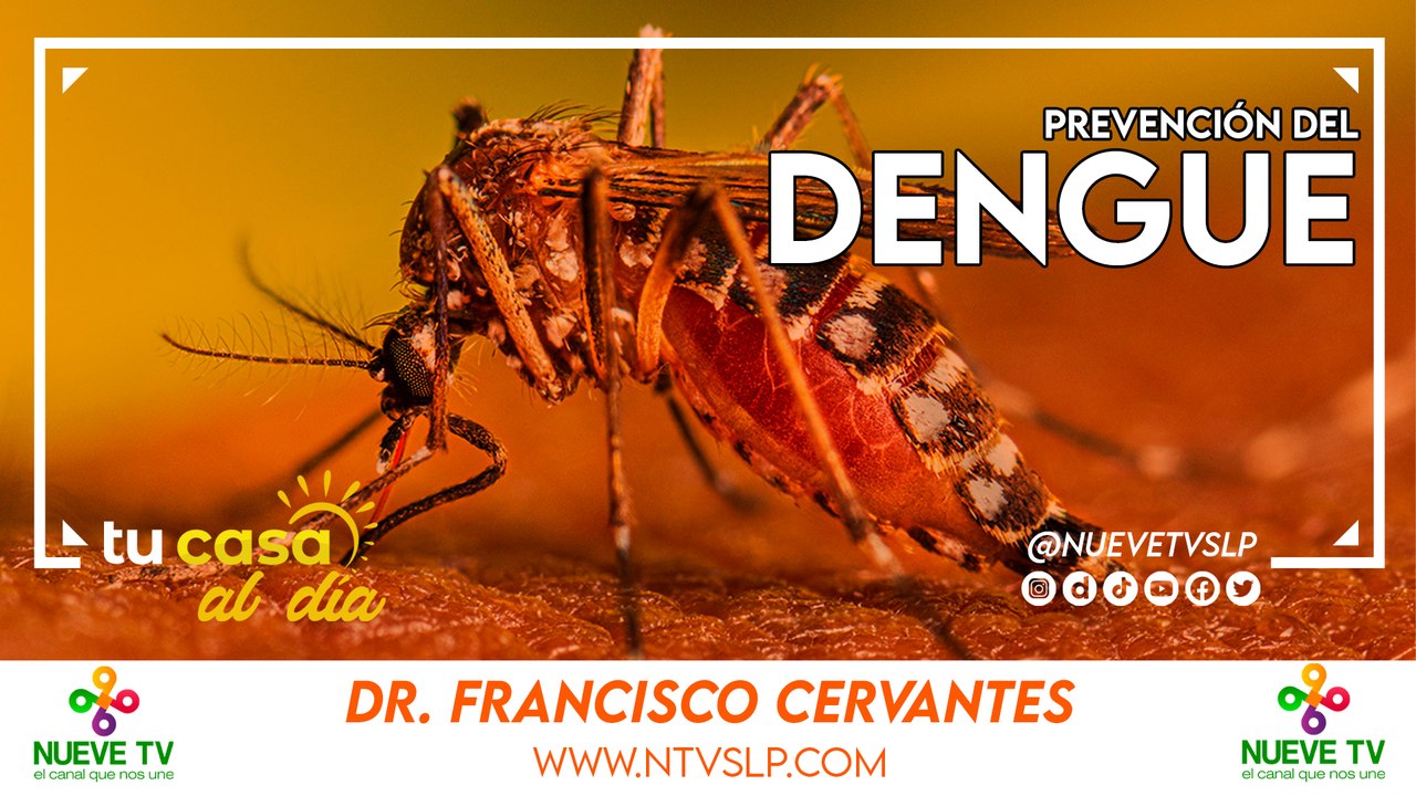 Prevención del Dengue
