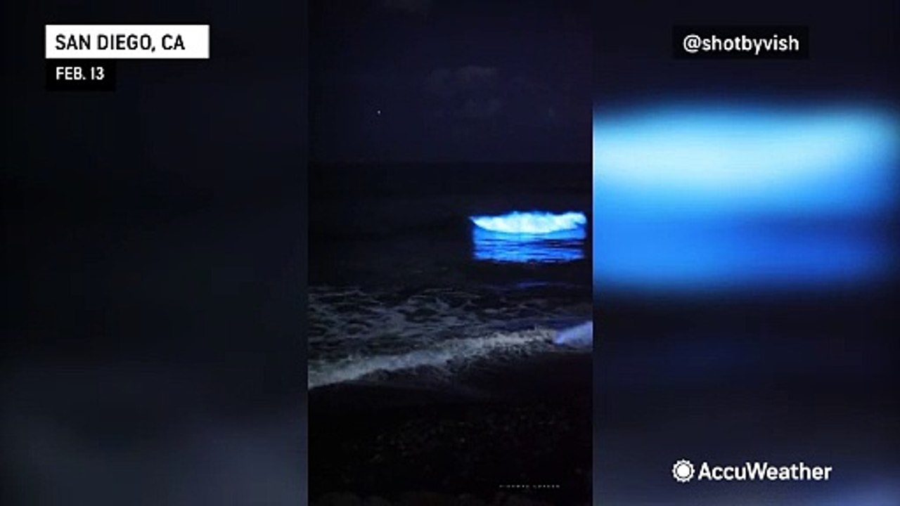 Bioluminescence lights up waves in California