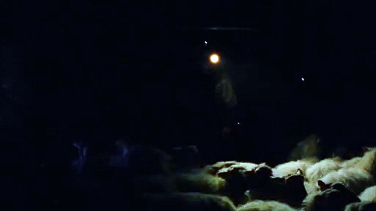 Negu hurbilak - Tráiler