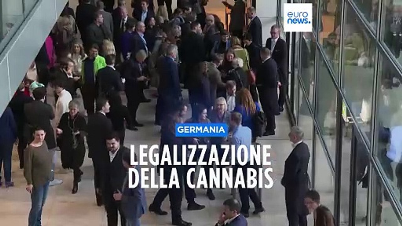 La Germania legalizza la cannabis: consentito il possesso di 50 grammi per uso personale