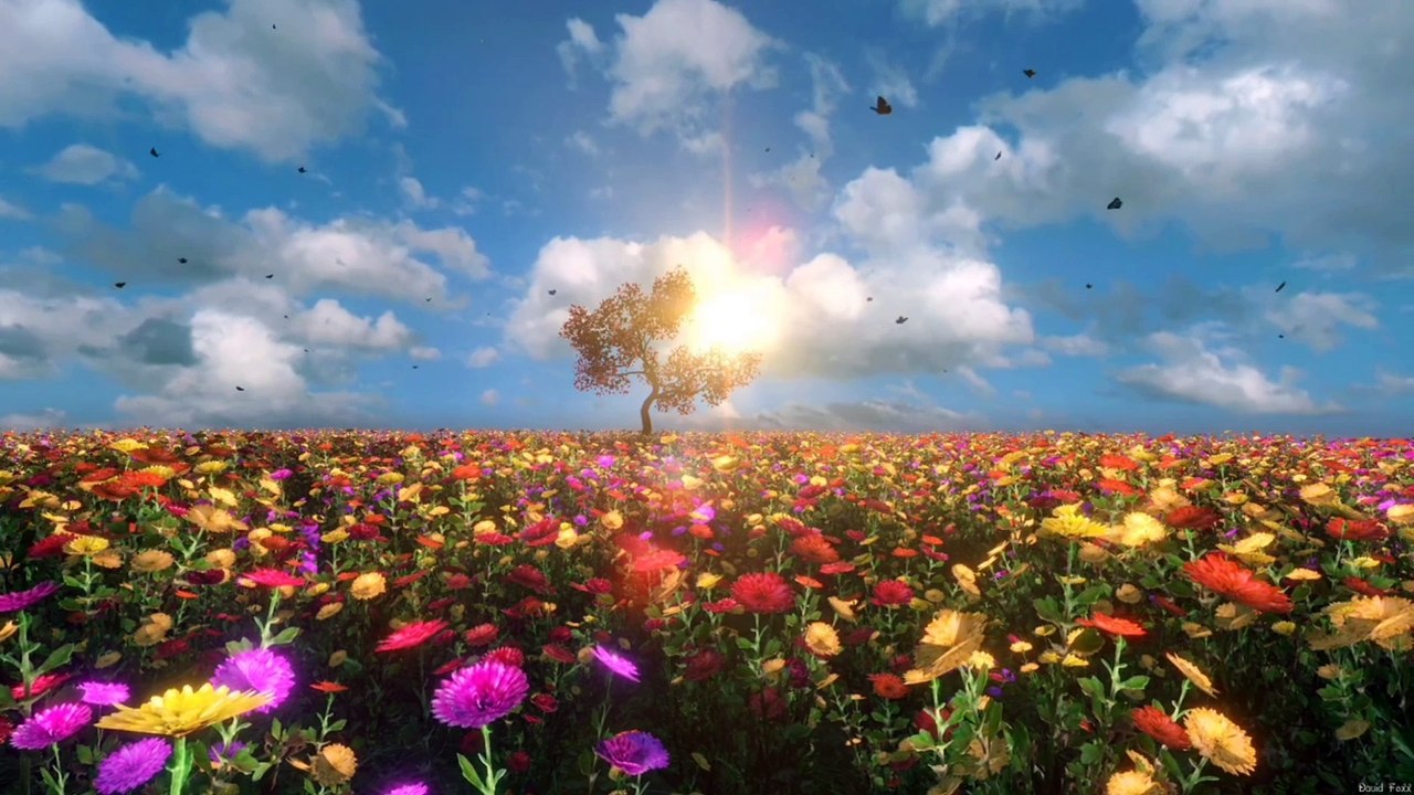 Tình ngàn năm - nhạc Hoa lời Việt