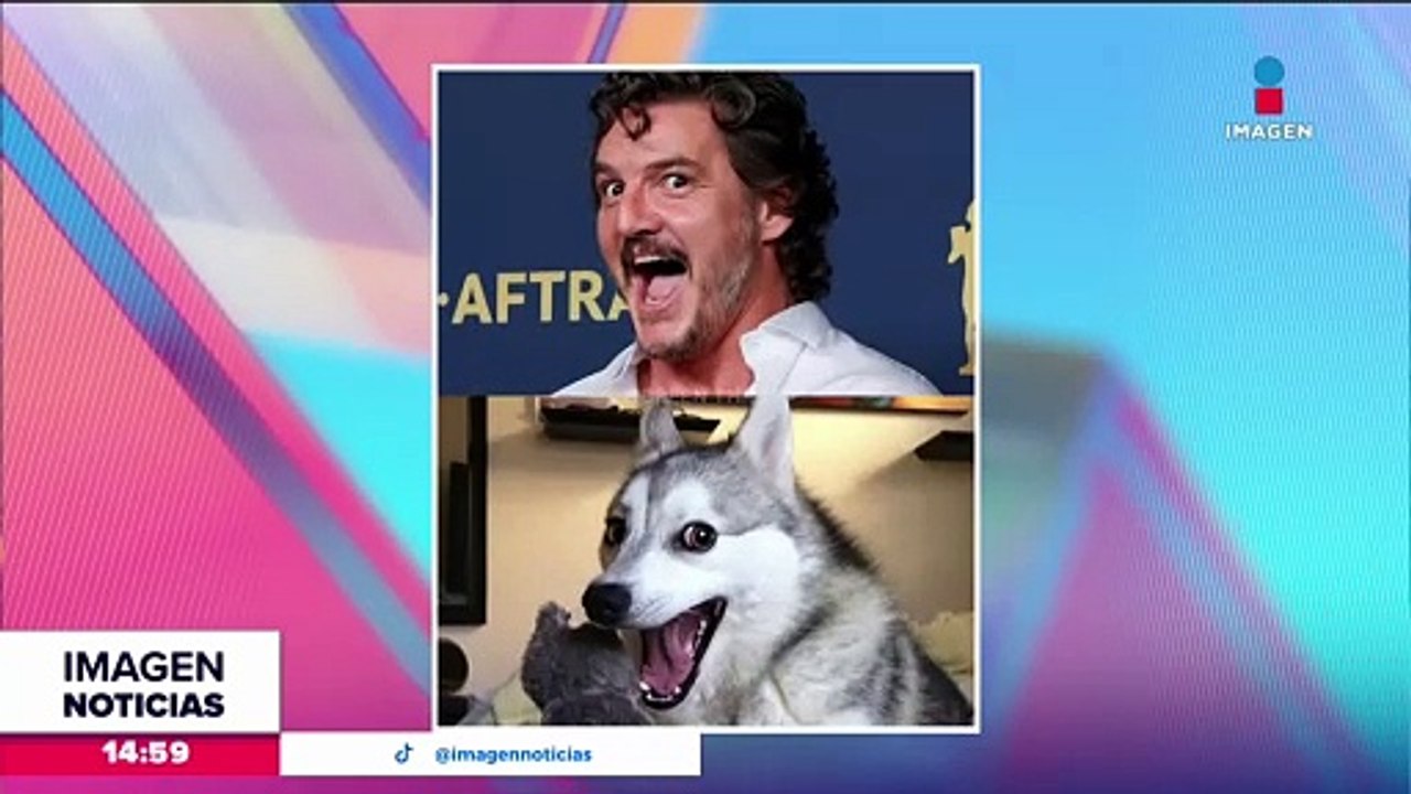 ¡Pedro Pascal es comparado con el meme de un perrito!