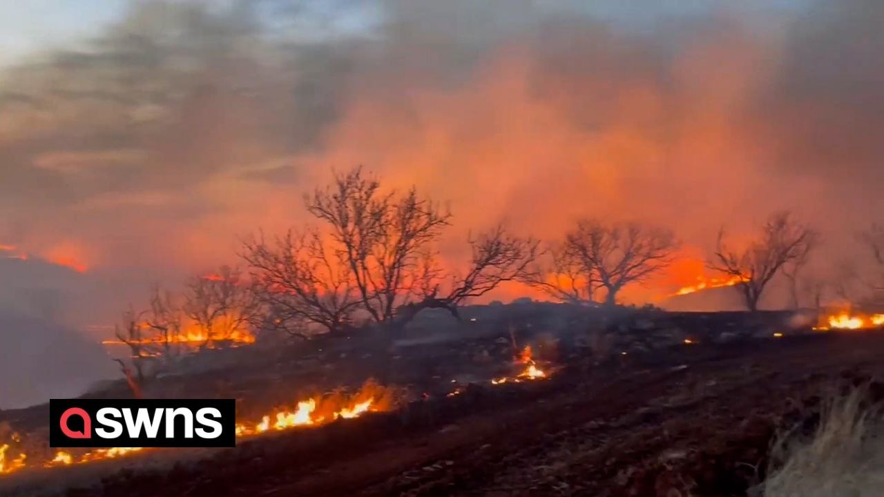 Video shows wildfire in the Texas Panhandle