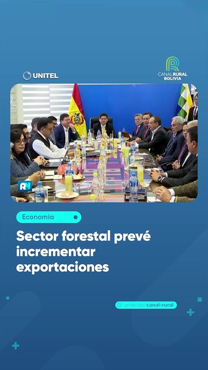 Sector forestal prevé incrementar exportaciones