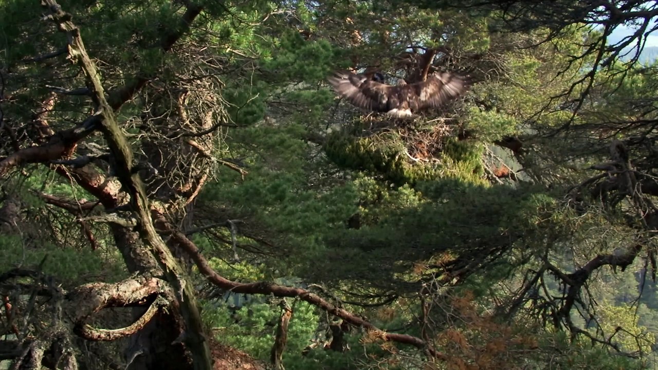 The Incredible Scottish Highlands (4K Documentary) - Our World