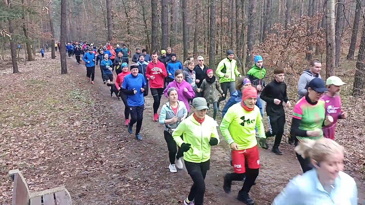 ParkRun Toruń 391 - start zawodników