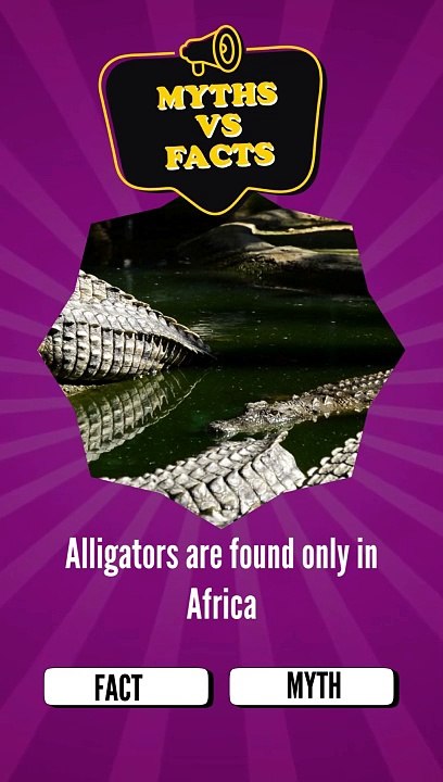 Facts vs Math: Understanding the Difference