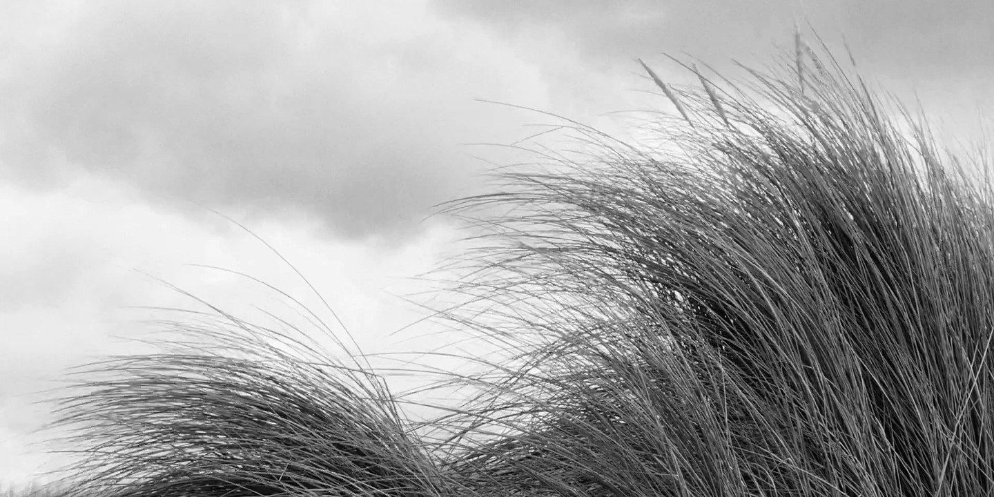 Compass | movie | 2024 | Official Trailer