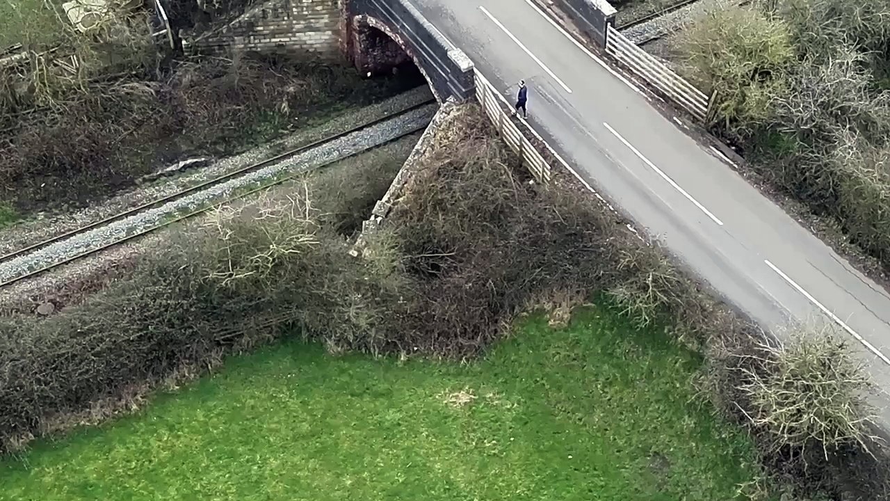 puppy-rescued-f--1147547