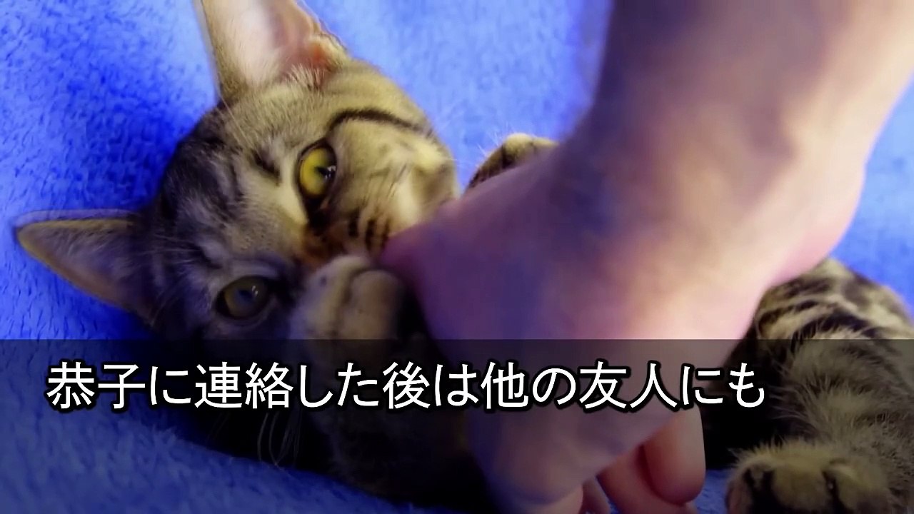 【スカッとする話】3年前、私から医者の夫を奪った親友「元気な女の子産んだよ！出産祝い30万ちょうだいｗ」私「はーい！弁護士の夫と行くね！」親友「え？」結果ｗ