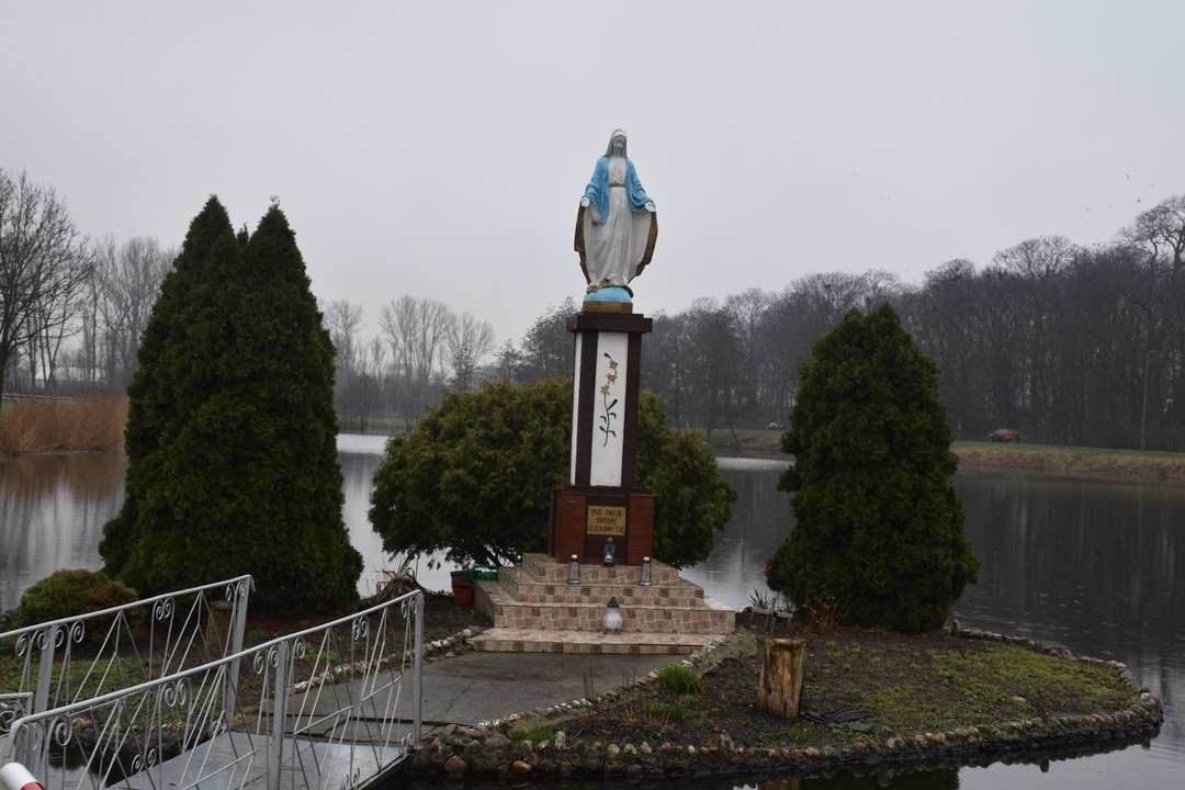 Discover the Scenic Dobrzyca Pond with Damian Cieślak 🌿