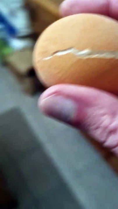 L'œuf frit congelé