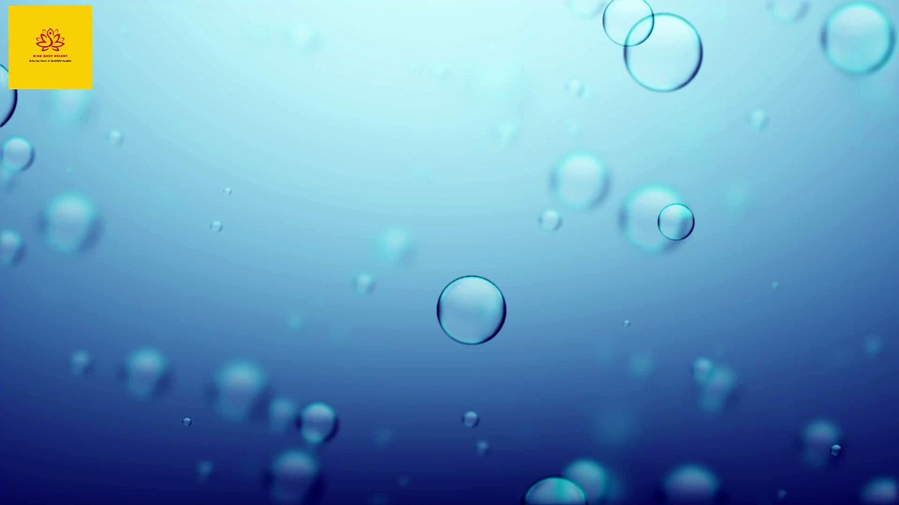 Daily Detox : Your Mind-Body Melody to Wholeness