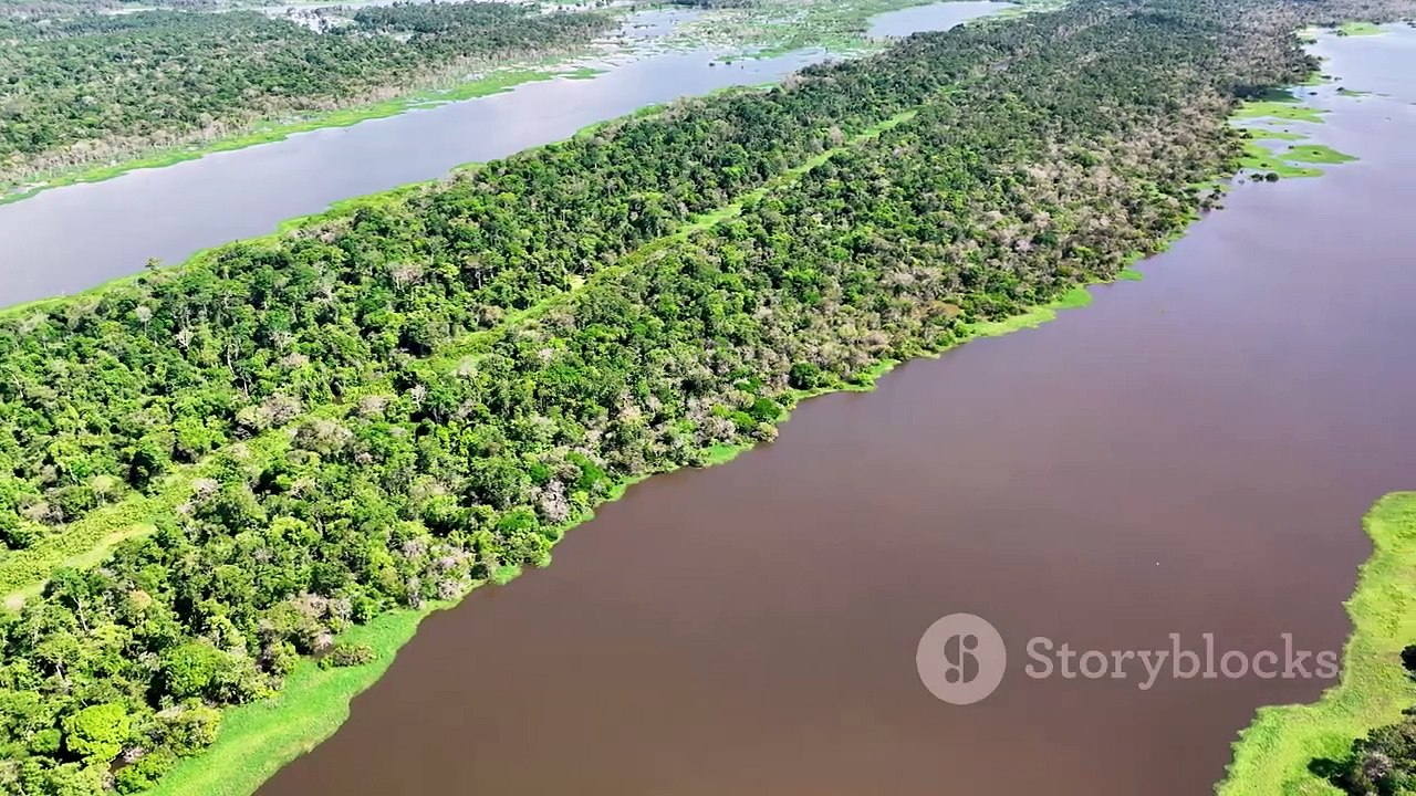 The longest rivers in the world