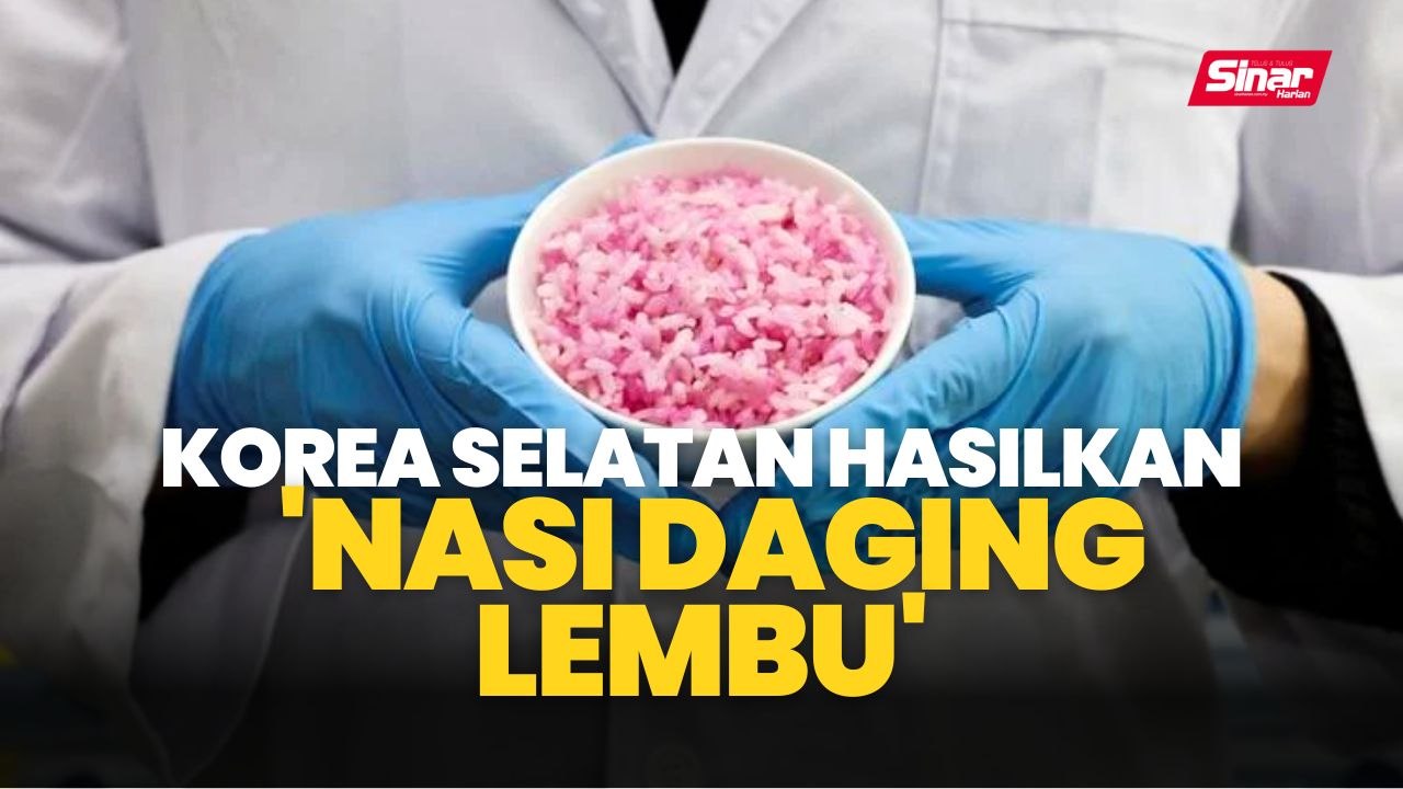 Korea Selatan Cipta Nasi Daging Lembu Berinovasi untuk Sumber Protein Mampan 🥩