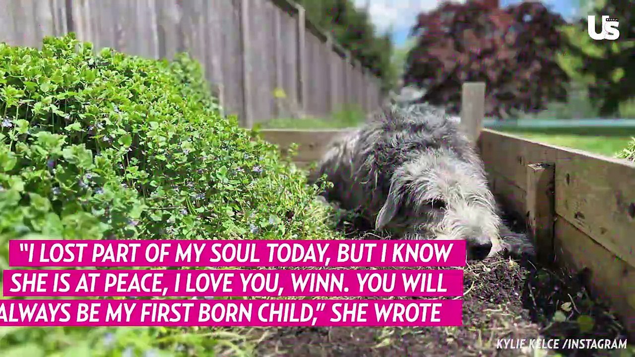 Jason Kelce Wife Kylie Kelce Speaks On Their Dog Passing Away