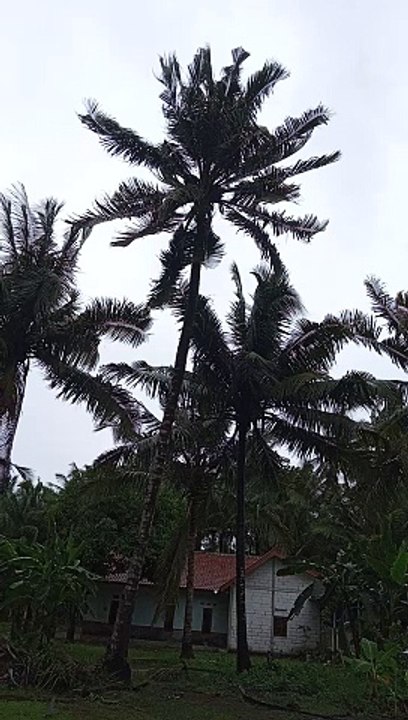 Angin kencang sekaran